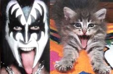 genesimmons.jpg