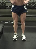 legs.jpg