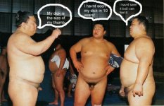 sumo_does_not_always_mean_big2.jpg
