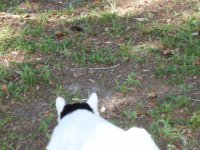 October 16, 2009 015.JPG