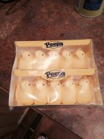 peep2014.JPG