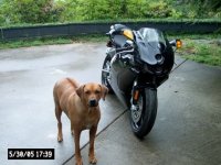 Ace and Duc.jpg