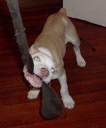 Picture 010.jpg