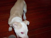Picture 013.jpg