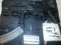 AR15 Pistol.jpg
