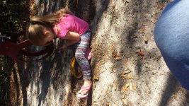 20170204_114954.jpg