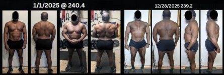 one year progress.jpg